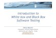 Introduction to White box and Black Box Software · PDF fileIntroduction to White box and Black Box Software Testing Henry Muccini Computer Science Department University of L'Aquila