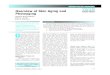 Dermatology Nursing Overview of Skin Aging and Photoaging of Skin Aging and... · DERMATOLOGY NURSING/June 2008/Vol. 20/No. 3 177 Overview of Skin Aging and Photoaging DERMATOLOGY