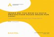 General Data Protection Regulation - Accountancy Europe · PDF fileINTRODUCTION The accountancy profession should carefully prepare for the General Data Protection Regulation (GDPR)1,