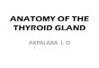 ANATOMY OF THE THYROID GLAND - oer.unimed.edu.ngoer.unimed.edu.ng/LECTURE NOTES/1/2/Dr-Akpalaba-Immaculata-AN… · EMBRYOLOGY •The thyroid gland, originates from between the first