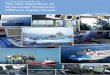 International Guidelines for the Safe ... - Offshore · PDF fileInternational Guidelines for the Safe Operation of Dynamically Positioned Offshore Supply Vessels . Preface Reliable