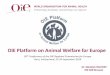OIE Platform on Animal Welfare for Europeoldrpawe.oie.int/fileadmin/doc/eng/OIE_AW_events_ppts/OIE_AW... · OIE Platform on Animal Welfare for Europe 26th Conference of the OIE Regional