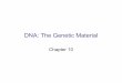 DNA: The Genetic Material - California State University ...cmalone/pdf360/Ch10-1 Gen material.pdf · DNA: The Genetic Material Chapter 10. 2 DNA as the Genetic Material ¥DNA was