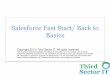 Salesforce Fast Start/ Back to Basics - Third Sector ITthirdsectorit.org/wp-content/uploads/2013/02/Salesforce-Fast-Start.pdf · Salesforce Fast Start/ Back to Basics ... or as a