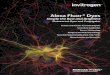Alexa Fluor ® Dyes · PDF filec Alexa Fluor Dyes—Simply the Best and Brightest Fluorescent Dyes and Conjugates For current prices or to order online, visit