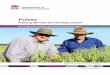 Pulses: putting life into the farming · PDF file4. ulses. putting life into the farming system NSW DPI. Nitrogen fixation. Symbiotic nitrogen fixation is the mutually beneficial relationship