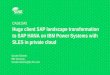 CAS91545 Huge client SAP landscape transformation to SAP ... · PDF fileHuge client SAP landscape transformation to SAP HANA ... Program” for selected customers in 3Q 2014 October