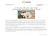 Visit the NEW White Lion Exhibit at the Zoo Lion Release - FINAL May 4.pdf · Visit the NEW White Lion Exhibit at the Zoo ... of the African lion in the wild. "White lions are not