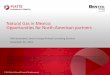 Natural Gas in Mexico: Opportunities for North American ... · PDF fileNatural Gas in Mexico: Opportunities for North American partners ... growth if Mexican LNG import cargoes are
