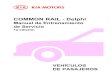 COMMON RAIL - Delphi - ceduc.cl · PDF file3 Sistema ‘Common Rail’ El sistema de inyección de 'common rail' permite el control individual del avance de la distribución y del