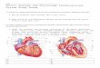Web viewHonors Anatomy and PhysiologyCardiovascular System Study Guide. ... Label the parts of the heart’s intrinsic electrical system on the figure below. Word bank