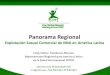 Panorama Regional - XXI Congreso Panamericano del Niño ...xxicongresopanamericano.org/wp-content/uploads/... · ESCNNA en Línea La pornografía infantil y adolescente «incluye