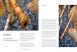 shakuhachi - · PDF file1 2 The Shakuhachi is a traditional Japanese bamboo flute. Its origin is unknown, even if some experts say it comes from Egypt, through China, a thousand or