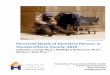 Perceived Needs of Homeless Persons in Houston/Harris · PDF filePerceived Needs of Homeless Persons in Houston/Harris County, 2012 ... the use of focus groups made up of different