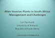 Alien Invasive Plants in South Africa: Management and ... · PDF fileAlien Invasive Plants in South Africa: Management and Challenges Carl Reinhardt ... Parthenin in TBME leaf-dips,