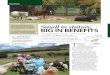 Small in stature, big in bEnEfits - SA Stud · PDF filefarm in the Rhodes district as pets for Gawie naudé’s son, ... Small in stature, big in bEnEfits ... The Falabella is a famous