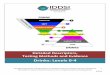Detailed Descriptors, Testing Methods and Evidence · PDF fileThe IDDSI Framework and Descriptors are licensed under the ... Testing Methods and ... levels that provide therapeutic