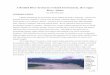 A Braided River System in a Glacial Environment, the ... · PDF fileA Braided River System in a Glacial Environment, the Copper River, ... and channel slope, ... (channel splitting)