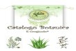 Catalogo Botanica Il Crogiuoloilcrogiuolo.it/pdf/catalogo_botanica.pdf · Catalogo Botanica Il Crogiuolo® 3 Erb 1004 - Abre Camino Euro 8,83 Nome Popolare: Apri Strade, Destrancadera,