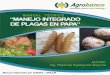 MANEJO INTEGRADO DE PLAGAS EN EL CULTIVO DE · PDF filemedidas de control, ... El gorgojo de los Andes es considerado como plaga clave para el cultivo de la papa. ... El principio