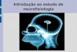 Introdução ao estudo de neurofisiologia · PDF fileIntrodução ao estudo de neurofisiologia Organização do Sistema Nervoso 1. Sistema Nervoso Central 2. Sistema Nervoso Periférico