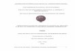 UNIVERSIDAD NACIONAL DE INGENIERIA FACULTAD …cybertesis.uni.edu.pe/bitstream/uni/690/1/tipe_qv.pdf · 3.6.6.2 Elección del diámetro de perforación para las pruebas de los cráters
