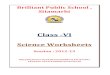 Class -VI - Brilliant Public School Sitamarhibrilliantpublicschool.com/files/documents/VI_Science-Worksheets... · BRILLIANT PUBLIC SCHOOL, SITAMARHI VI – SCIENCE WORKSHEET Class