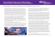 Spotlight on Chlorhexidine for Umbilical Cord · PDF fileSpotlight on Chlorhexidine for Umbilical Cord Care ... the umbilical cord for prevention of omphalitis and neonatal mortality