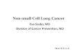 Non-small Cell Lung Cancer · PDF fileNon-small Cell Lung Cancer Eva Szabo, MD Division of Cancer Prevention, NCI TRACO 11-2-15