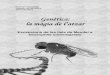 Genè tica: la màgia de l’atzar - fub. · PDF fileINSTITUT REGUISSOL TREBALL DE RECERCA CURS 2012/2013 Genè tica: la màgia de l’atzar Excepcions de les lleis de Mendel a Drosophila