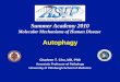 Autophagy - az9194.vo.msecnd.netaz9194.vo.msecnd.net/pdfs/100602/002.pdf · Autophagy for the new millenium Apoptosis took off in the 1990s. Macroautophagy: Processes Autolysosome