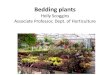 Holly Scoggins Associate Professor, Dept. of Horticulture plants... · Bedding plants “Color” Annuals, perennials, vegetable and herb transplants Products can range from cell