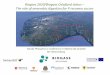 Biogass 2020/Biogass Oslofjord status The role of ... · PDF fileBiogass 2020/Biogass Oslofjord status – The role of anaerobic digestion for P recovery succes. ... Purpose with the