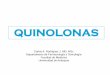 QUINOLONAS - Programa Integración de Tecnologías a la ...aprendeenlinea.udea.edu.co/lms/moodle/pluginfile.php/87217/mod... · •Sistémicamente se usan sólo en combinación con