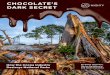 CHOCOLATE’S DARK SECRET -  · PDF fileHow the Cocoa Industry Destroys National Parks By Etelle Higonnet, Marisa Bellantonio, and Glenn Hurowitz CHOCOLATE’S DARK SECRET