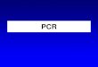 PCR - Wilkommenmolgen.biologie.uni-mainz.de/F1-Vorbesprechungen/F1_PCR.pdf · Der PCR-Zyklus 1. Denaturierung (94-98°C, 1-60 sec) 2. Primerbindung (50-65°C, 1-60 sec), ca. 5°C