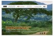 Developing Scenarios to Assess Ecosystem Service · PDF fileDeveloping Scenarios to Assess Ecosystem ... scenarios to assess ecosystem service ... working with partners in terrestrial