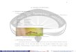 Gambar 1. Walang sangit (Leptocorisa acuta Thunberg ...e-journal.uajy.ac.id/2600/3/2BL00897.pdf · sasaran bermacam-macam seperti:serangga, tikus, burung, mamalia. (Anomim, 2008d)