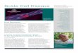 Sickle Cell Disease - Enerca · PDF fileSickle Cell Disease blood cells that ... support of the Association Mondiale des Amis de l'Enfance ... Management of SCD in Mali / Creation