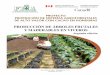 vivero de plantas frutales y maderables - fhia.org.hnfhia.org.hn/dowloads/cacao_pdfs/Produccion_de_arboles_frutales_y... · PRODUCCIÓN DE ÁRBOLES FRUTALES Y MADERABLES EN VIVEROS