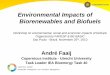 Environmental Impacts of Biorenewables and Biofuels - · PDF fileEnvironmental Impacts of Biorenewables and Biofuels Workshop on environmental, social and economic impacts of biofuels