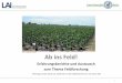 Ab ins Feld! - lai.fu- · PDF file„Praxis schafft Wissen – das Modul Wissenschaftspraxis am LAI“ • unbenotet ...   Janina Knobbe