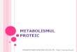 METABOLISMUL PROTEIC -   cu paracetamol. PROTEINE= compusi organici macromoleculari alcatuiti din aminoacizi, uniti de legaturi peptidice. CLASIFICARE 1