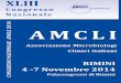 Associazione Microbiologi Clinici Italianicongresso2014.amcli.com/documenti/PROGRAMMA_PRELIMINARE.pdf · Flamminio Gigliola Fortina Giacomo (Tesoriere) Gava Graziella Giraldi Cristina