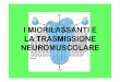 Miorilassanti e la trasmissione neuromuscolare - … Didattico/Anestesiologia - canale A... · I MIORILASSANTI Farmaci che agiscono sul recettore ... AGENTI COLINOMIMETICI FARMACI