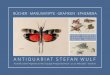 ANTIQUARIAT STEFAN  · PDF fileAlga marina (Deckeltitel). Herbarium mit vorzüglich er-haltenen Specimen von 23 Meeresalgen. Undatiert, ver-mutlich 2. Hälfte d. 19. Jahrhunderts