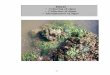 Part II Culturing of algae Collection of algae ...shodhganga.inflibnet.ac.in/bitstream/10603/2553/12/12_chapter 3.pdf · Algae are naturally abundant, ... Herbarium specimen of the