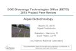 DOE Bioenergy Technologies Office (BETO) 2015 · PDF fileDOE Bioenergy Technologies Office (BETO) 2015 Project Peer Review Algae Biotechnology . ... • ePBR array has been vetted