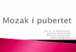 Doc. dr. sc. Renata Pecotić Zavod za neuroznanost ... · PDF fileCerebelum (mali mozak) isto tako nije u cijelosti razvijen ulaskom u pubertet! Vaţan je za koordinaciju pokreta i