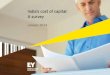 India’s cost of capital: A survey - EY - EY - United StatesFILE/EY-india-cost-of-capital-a-survey.pdf · India’s cost of capital: a survey | 3 ... We hope it will be useful for